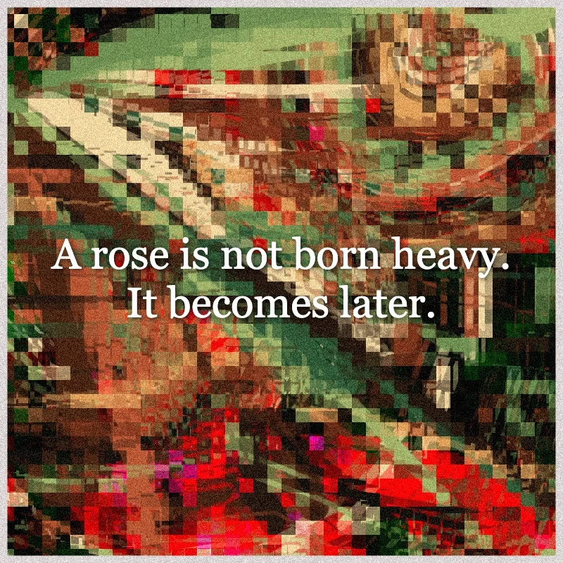 La Floristería #400